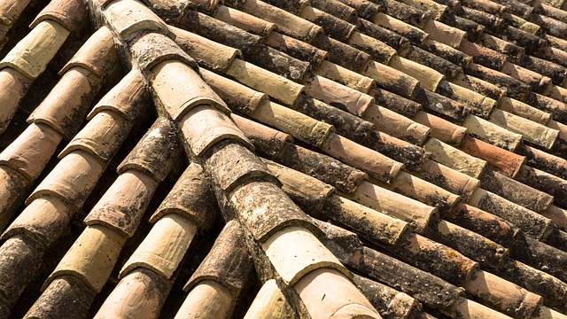 Steeline colorbond roofing