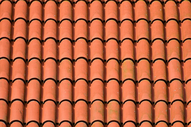 Steeline colorbond roofing