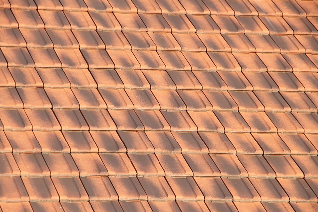Steeline colorbond roofing
