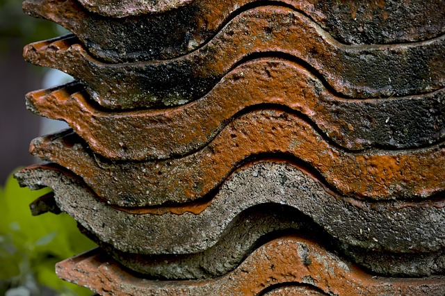 Steeline colorbond roofing