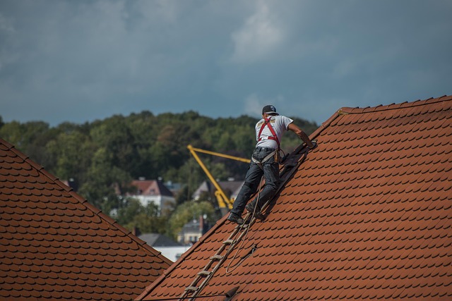 Steeline colorbond roofing