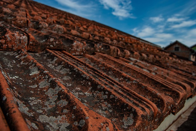 Steeline colorbond roofing