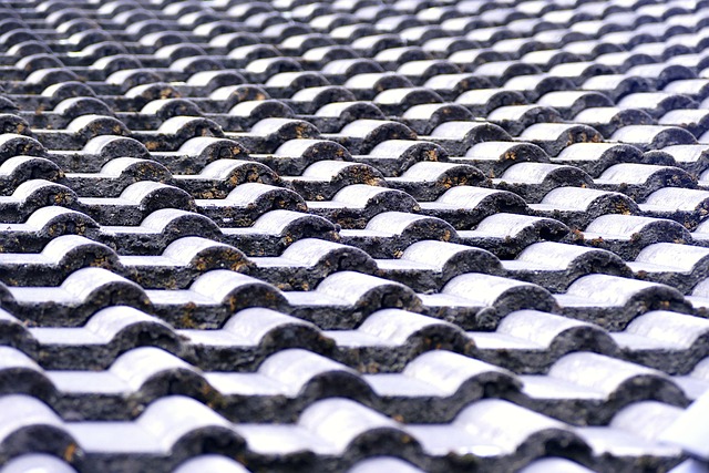 Steeline colorbond roofing