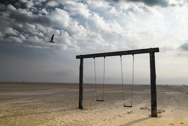 swing trader