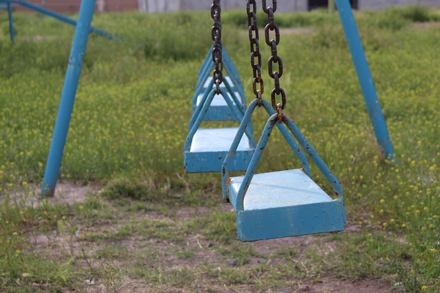 swing trader