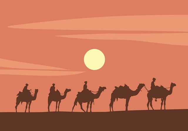 Vacationer caravans