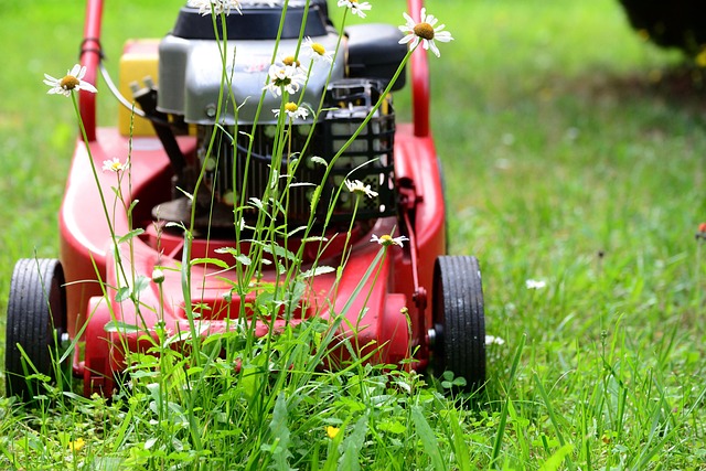 yamaha motorcycles, lawn mower, motorcycle