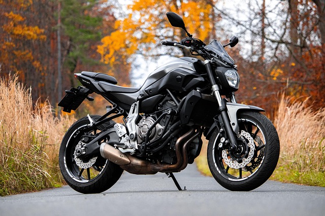 yamaha motorcycles, lawn mower, motorcycle