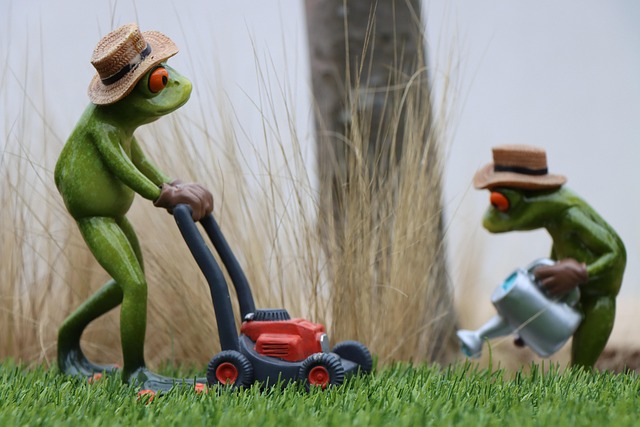 yamaha motorcycles, lawn mower, motorcycle