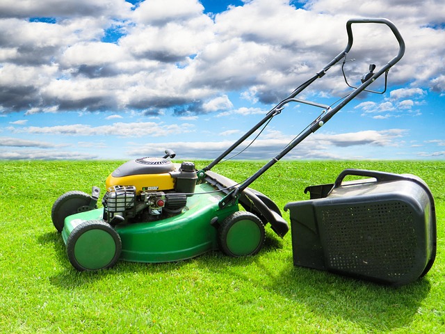 yamaha motorcycles, lawn mower, motorcycle