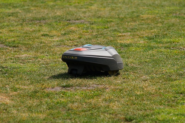 yamaha motorcycles, lawn mower, motorcycle
