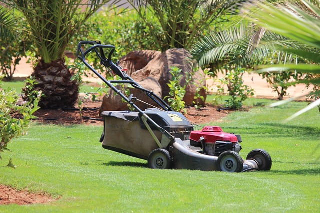 yamaha motorcycles, lawn mower, motorcycle
