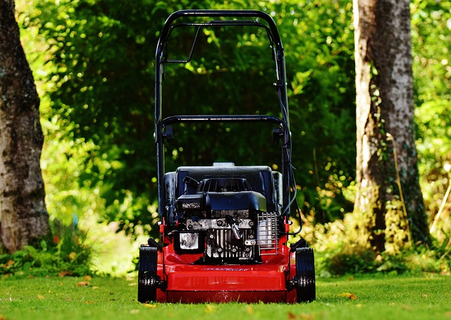 yamaha motorcycles, lawn mower, motorcycle