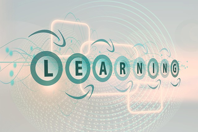 adults learning