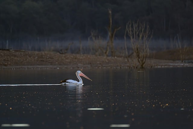 Australian locations