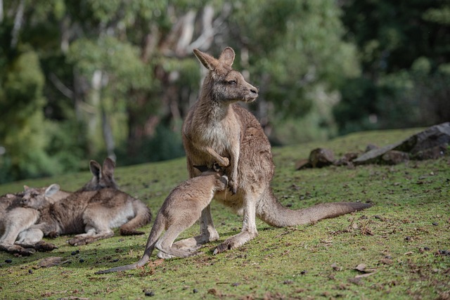 Australian locations