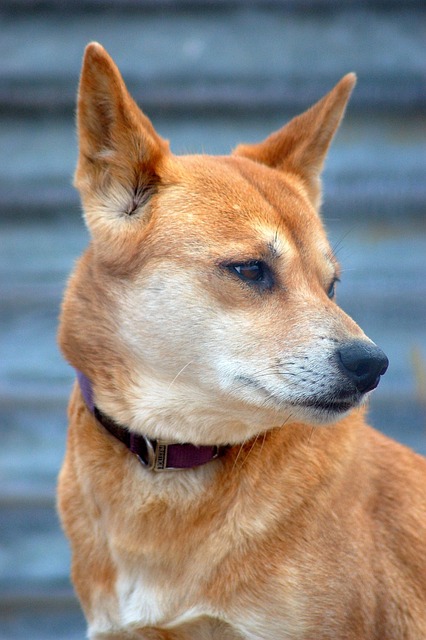 Australian locations