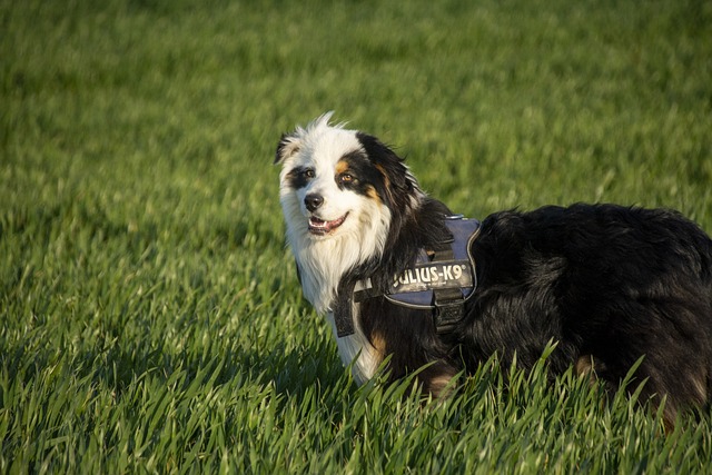 Australian locations