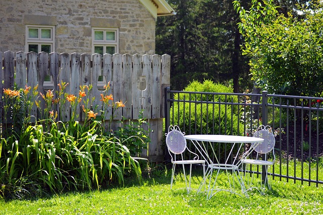 Backyard colorbond fences