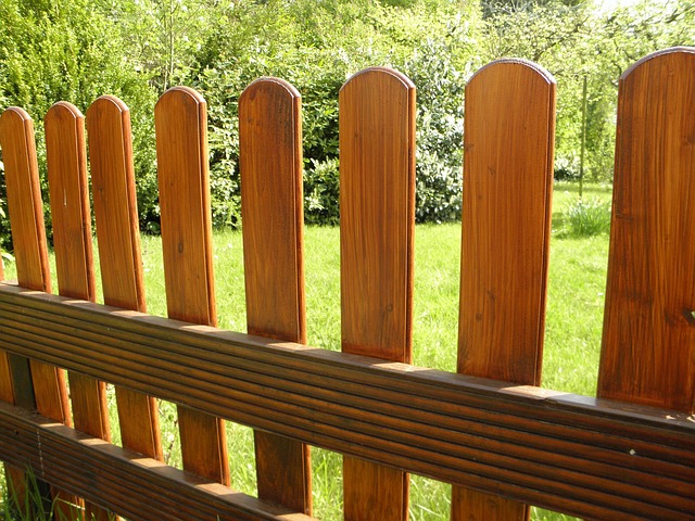 Backyard colorbond fences