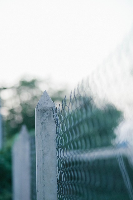 Backyard colorbond fences