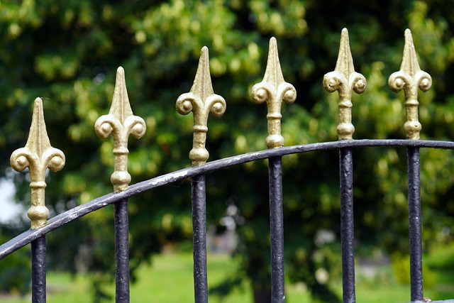 Backyard colorbond fences
