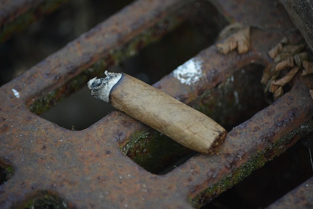 best trading classes