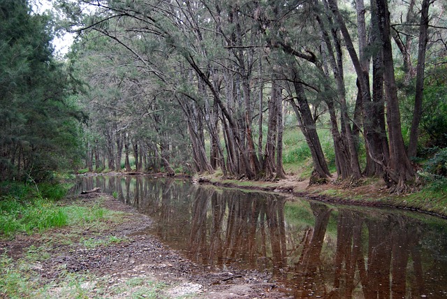 Camping in Australia