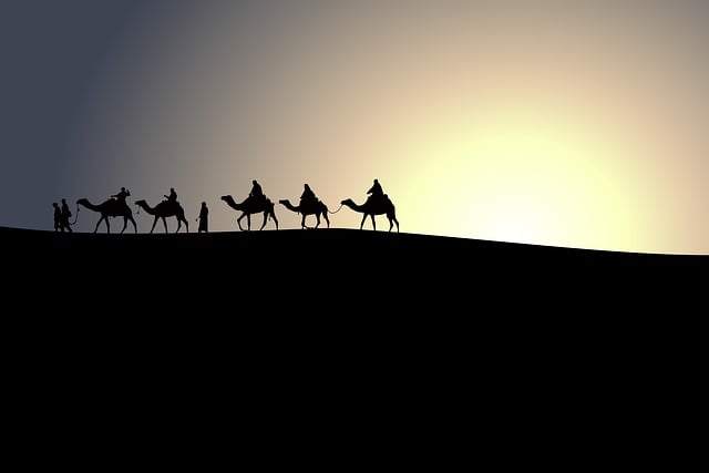 caravan
