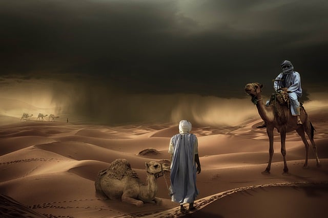 caravan