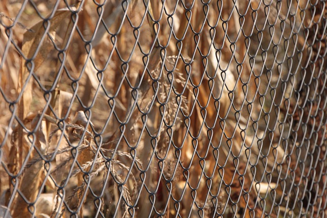 colorbond fencing