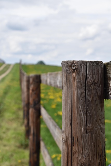 colorbond fencing