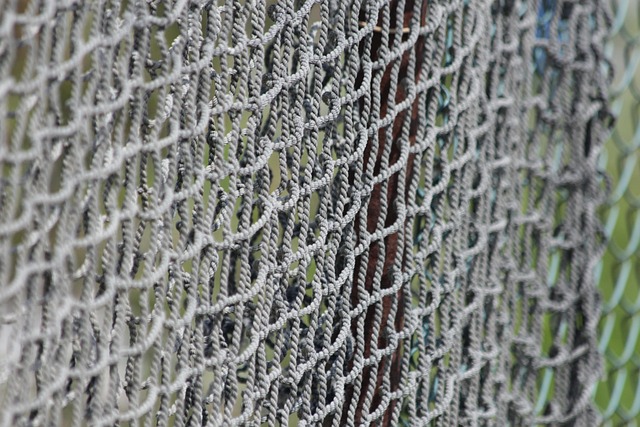 colorbond fencing