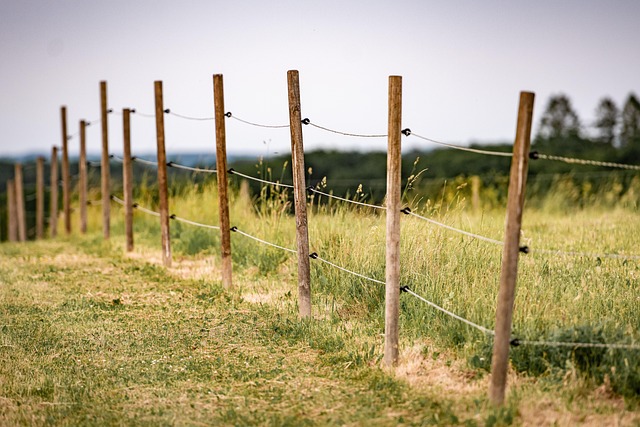 colorbond fencing
