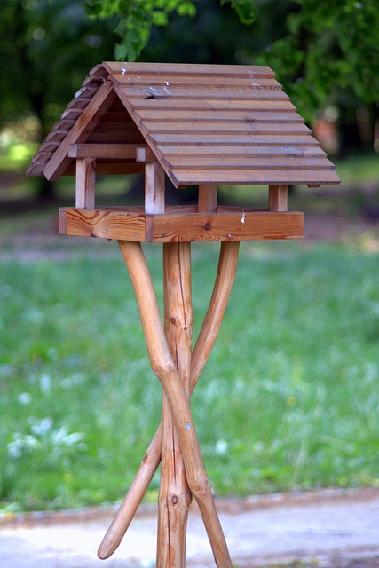 colorbond sheds