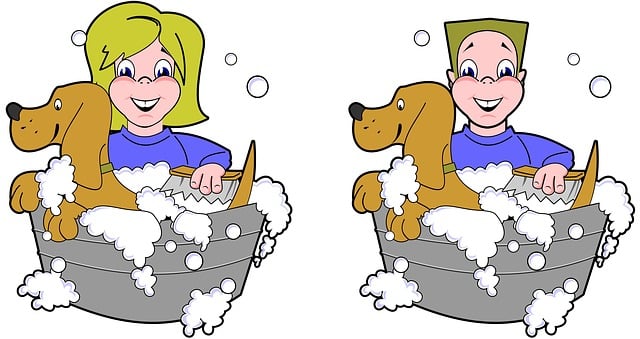 dog bathing