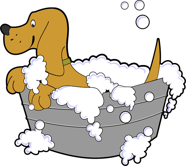 dog bathing