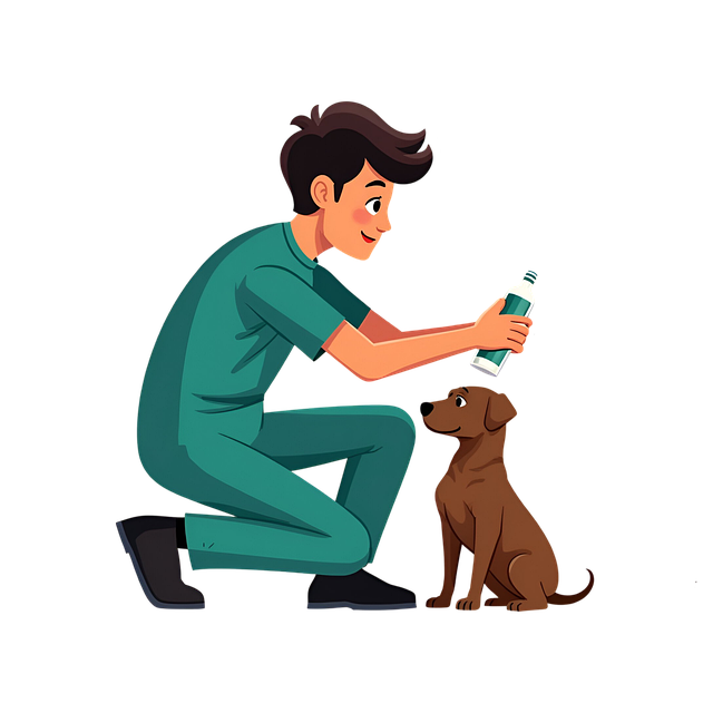 dog care