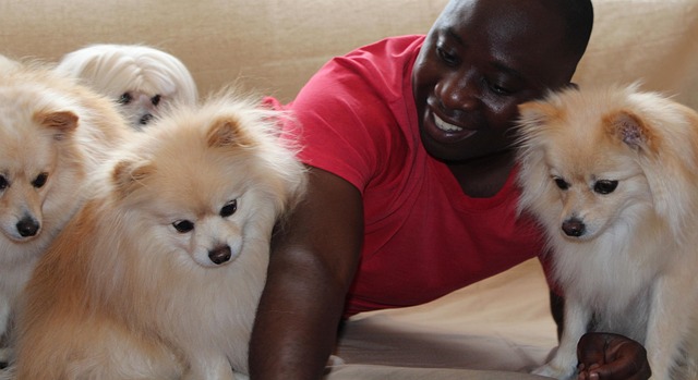 dog care