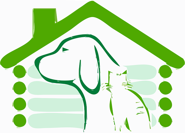 dog care