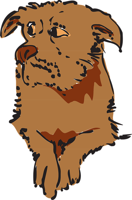 dog care