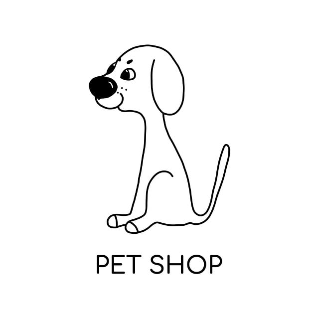 dog caring