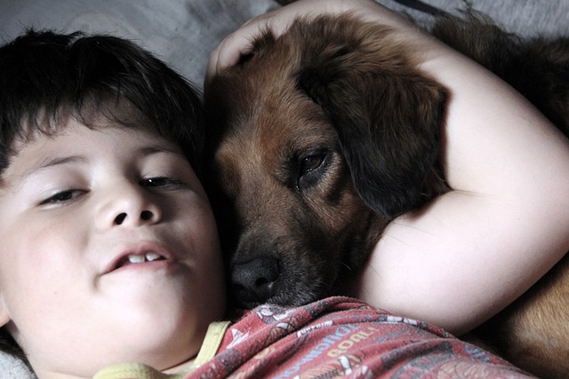 dog caring