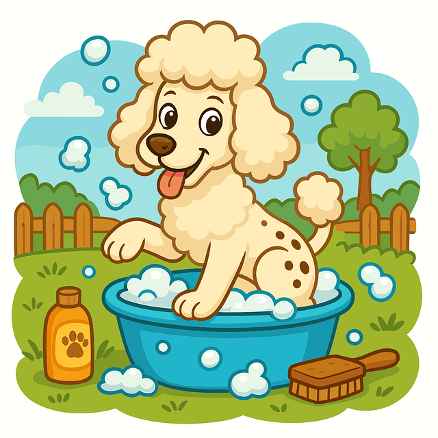 dog grooming