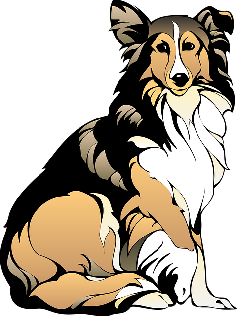 dog grooming