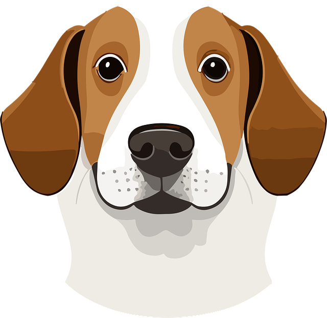 dog grooming