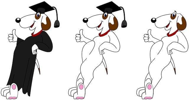 dog grooming service