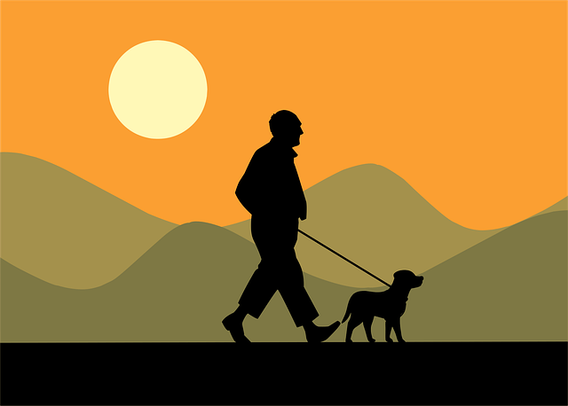 dog walking
