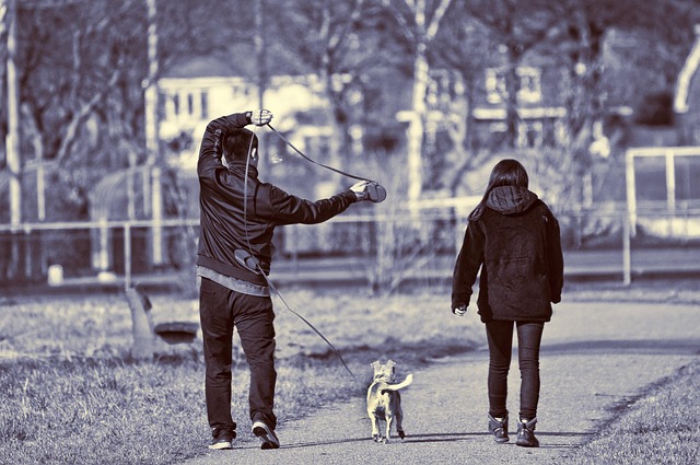 dog walking