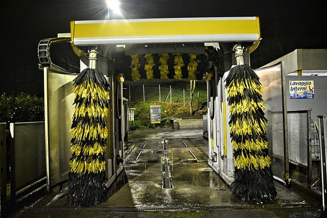 dog wash